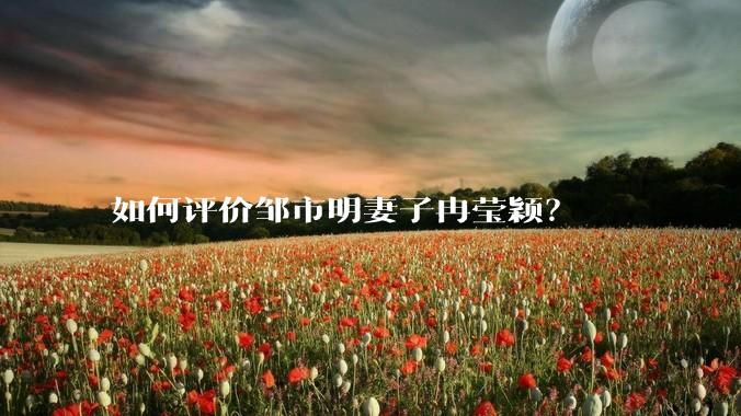 如何评价邹市明妻子冉莹颖？
