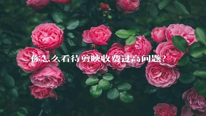你怎么看待剪映收费过高问题？
