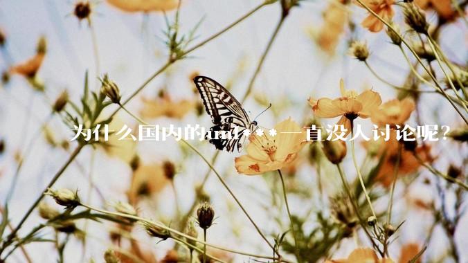 为什么国内的uni***一直没人讨论呢？
