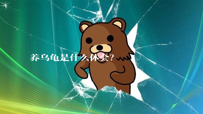 养乌龟是什么体会？
